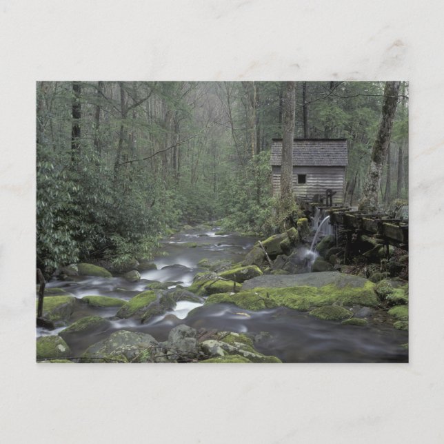 Cartão Postal EUA, Tennessee, Great Smoky Mountains National 3 (Frente)