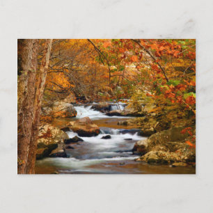 Cartão Postal EUA, Tennessee. Rushing Mountain Creek