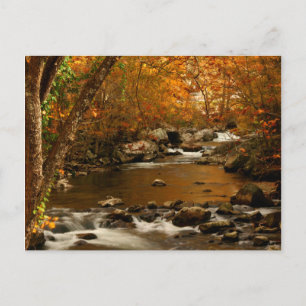 Cartão Postal EUA, Tennessee. Rushing Mountain Creek 3