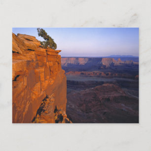 Cartão Postal EUA, Utah, Dead Horse Point SP. Luz tardia vira