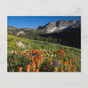 Cartão Postal EUA, Utah, Floresta Nacional Uinta-Wasatch-Cache