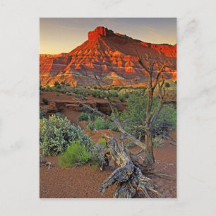 Cartão Postal EUA, Utah. Formação de arenito do Paria Canyon em