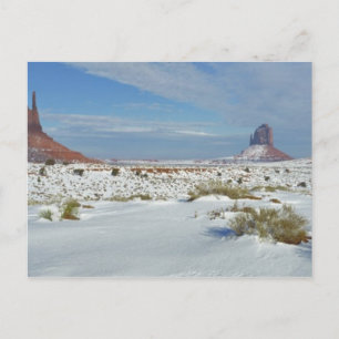 Cartão Postal EUA, Utah, Monument Valley. Artemísia