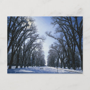 Cartão Postal EUA, Utah, Salt Lake City, Liberty Park,