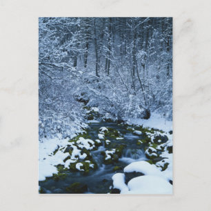 Cartão Postal EUA, Utah, Wasatch-Catch National Forest,