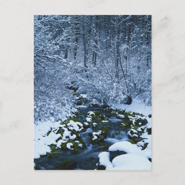 Cartão Postal EUA, Utah, Wasatch-Catch National Forest, (Frente)