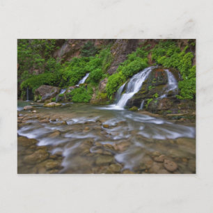 Cartão Postal EUA, Utah, Zion National Park.  Grandes Primaveras