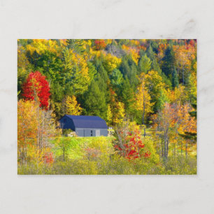 Cartão Postal EUA, Vermont. Folhagem de outono ao longo da rodov