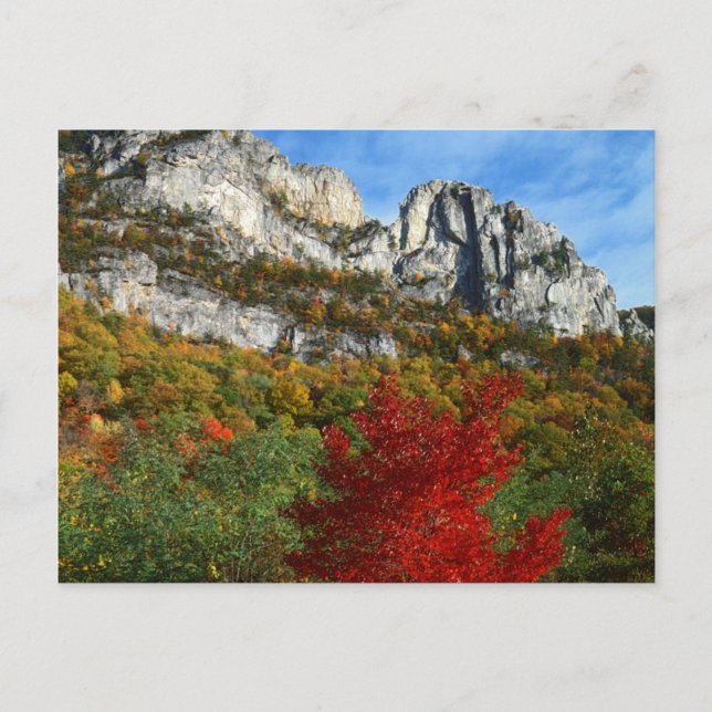 Cartão Postal EUA, Virgínia Ocidental, Spruce Knob-Seneca Rocks (Frente)