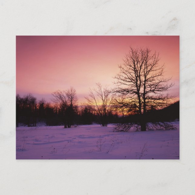 Cartão Postal EUA, Virginia, Shenandoah National Park, (Frente)