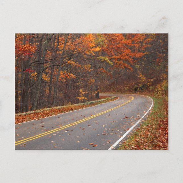 Cartão Postal EUA, Virginia, Shenandoah National Park, Skyline (Frente)