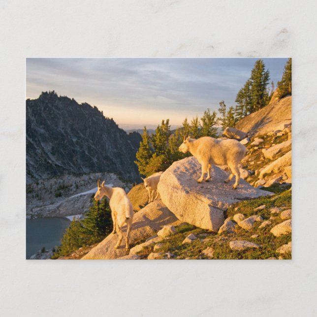 Cartão Postal EUA, Washington, Cascade Range 4 (Frente)