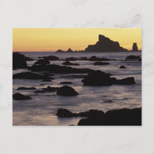 Cartão Postal EUA, Washington, Olimpiadas Nat'l Park, Seastacks