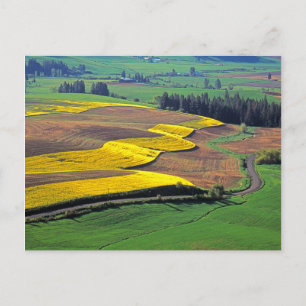 Cartão Postal EUA, Washington, Palouse, Whitman County 2