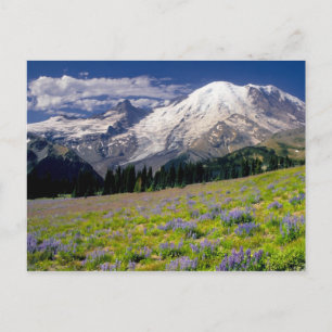 Cartão Postal EUA, Washington, Parque Nacional Mt. Rainier.