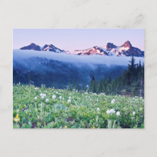Cartão Postal EUA, Washington, Parque Nacional Mt. Rainier 4