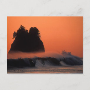 Cartão Postal EUA, Washington, Parque Nacional Olímpico, Mar