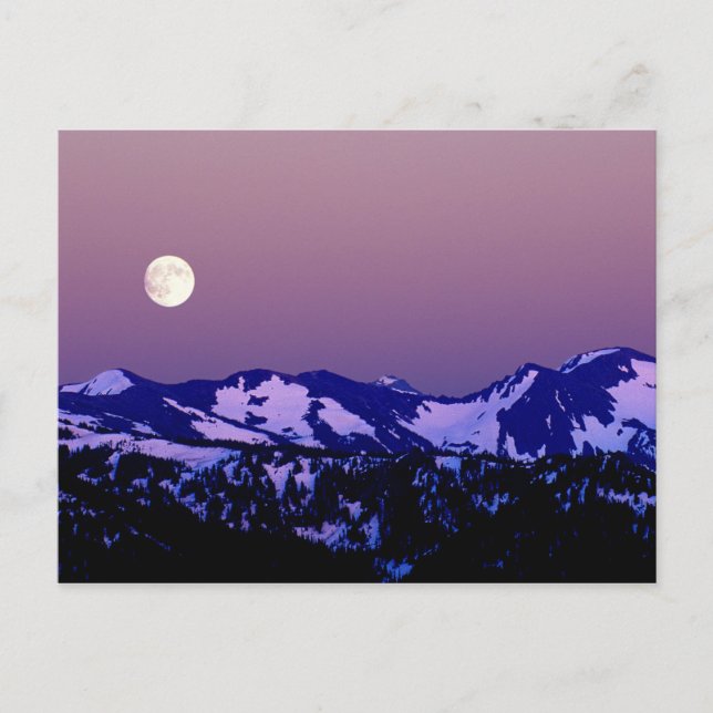 Cartão Postal EUA, Washington, Port Angeles, Parque Nacional Olí (Frente)