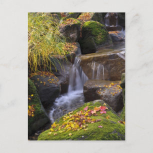 Cartão Postal EUA, Washington, Seattle