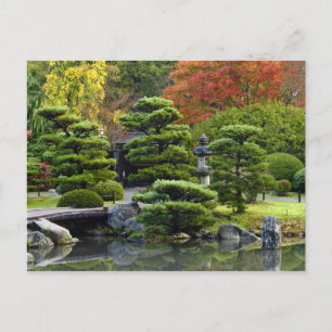 Cartão Postal EUA, Washington, Seattle, Arboreto, Japonês