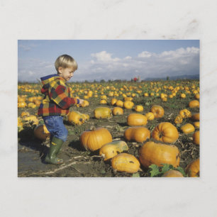 Cartão Postal EUA, Washington, Snohomish. Menino