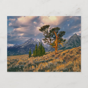 Cartão Postal EUA, Wyoming, Grand Teton NP. Nascer do sol cumpri