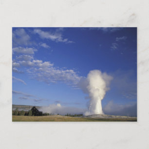 Cartão Postal EUA, Wyoming. Parque Nacional de Yellowstone. Velh