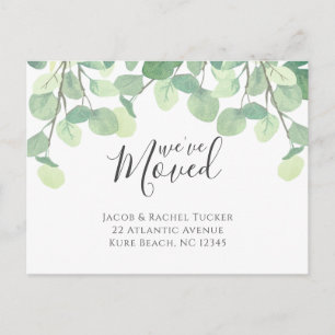 Cartão Postal Eucalipto Mudamos o lançamento