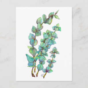 Cartão Postal Eucalyptus 02