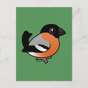 Cartão Postal Eurasian Bullfinch