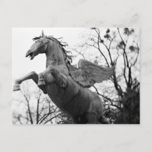 Cartão Postal Europa, Áustria, Salzburgo. Estátua de cavalo alad