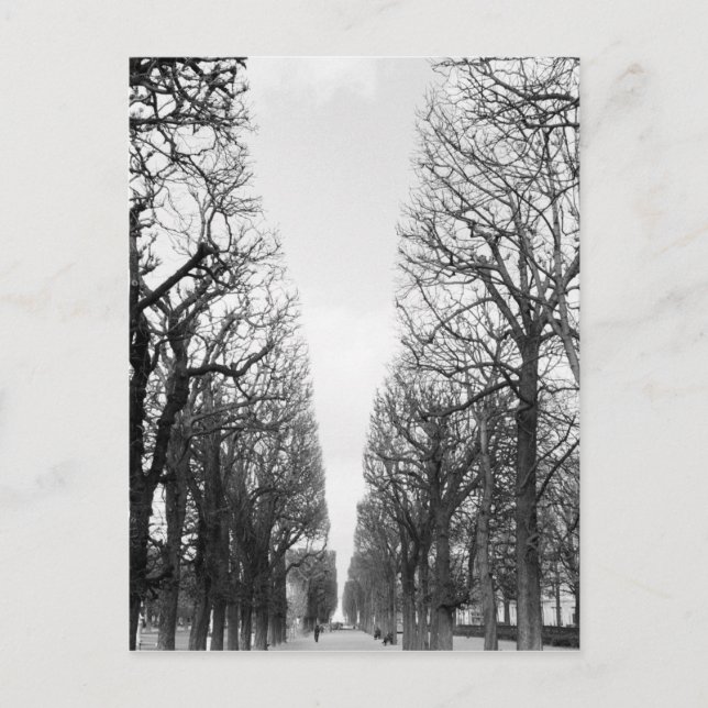 Cartão Postal Europa, França, Paris. Árvores de inverno, Marco P (Frente)