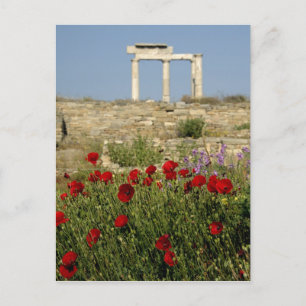 Cartão Postal Europa, Grécia, Cíclades, Delos. Ruínas de coluna.
