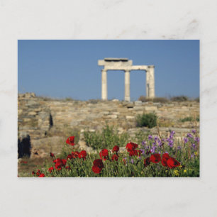 Cartão Postal Europa, Grécia, Cíclades, Delos. Ruínas de coluna.