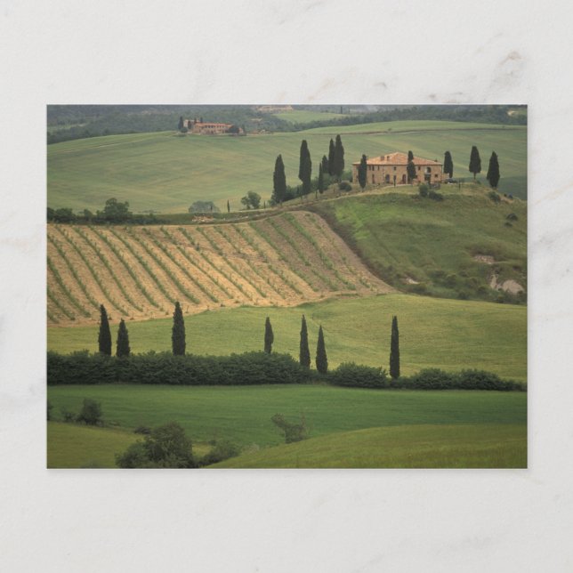 Cartão Postal Europa, Itália, Toscana, Val d'Orcia, Toscânia (Frente)