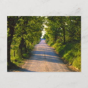 Cartão Postal Europa, Itália, Toscânia, estrada em linha