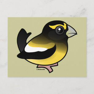 Cartão Postal Evening Grosbeak