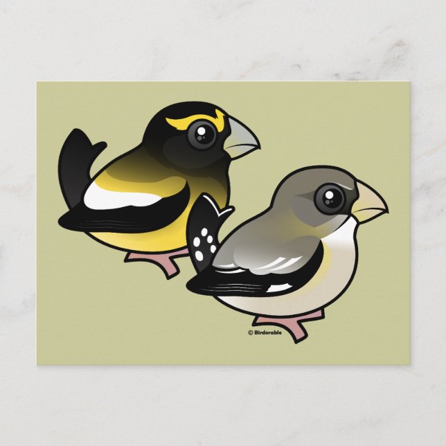 Cartão Postal Evening Grosbeak par (Frente)