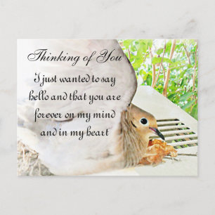 Cartão Postal Eventuais Ocasiões_