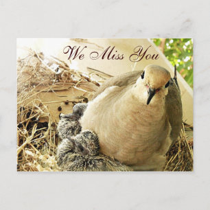 Cartão Postal Eventuais Ocasiões_