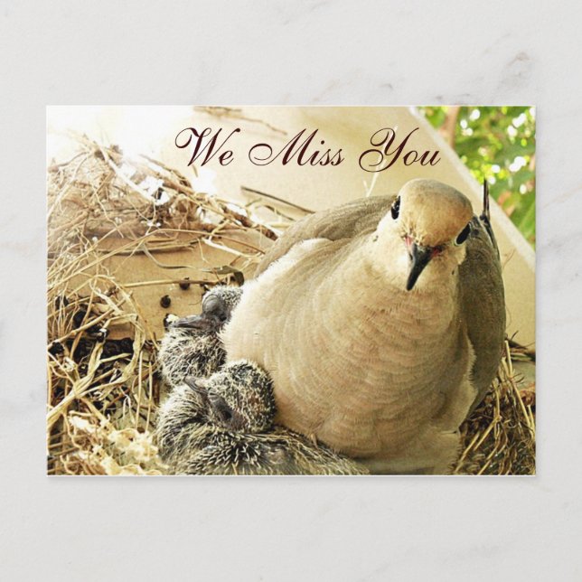 Cartão Postal Eventuais Ocasiões_ (Frente)