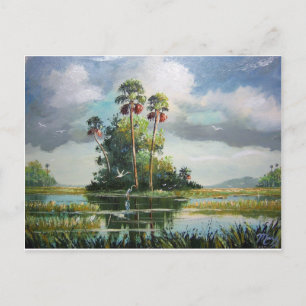 Cartão Postal Everglades Art
