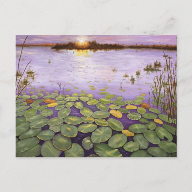 Cartão Postal Everglades Evening (Frente)