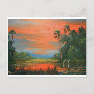 Cartão Postal Everglades Fire Sky