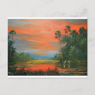 Cartão Postal Everglades Fire Sky