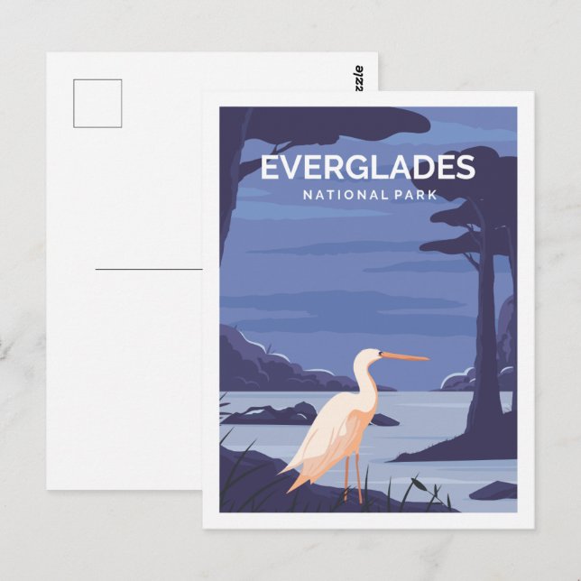 Cartão Postal Everglades Florida USA Viagem Place Illustration (Frente/Verso)