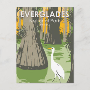 Cartão Postal Everglades National Park Florida Egret Vintage