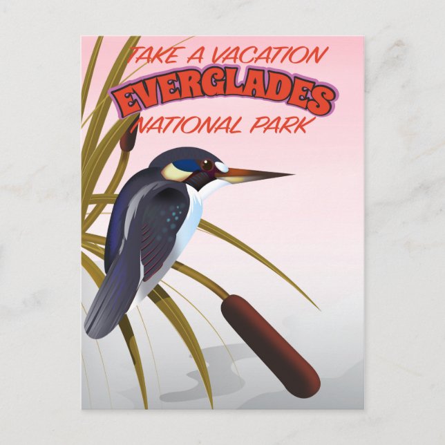 Cartão Postal Everglades viagens vintage. (Frente)