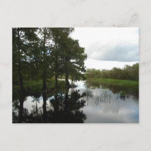 Cartão Postal Everglades Waterway