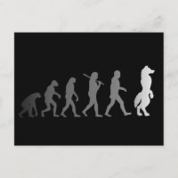 Evolução do furioso